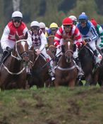 Do 131. Velké pardubické je přihlášeno devatenáct koní
