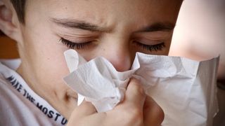 Odbornice radí, jak přestane být jarní alergie vaším nepřítelem