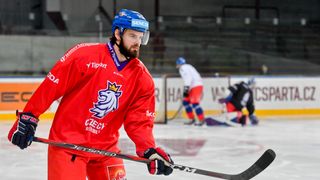 Horák: Je velkou výzvou předvádět ve Spartě výkony jako táta