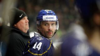 Plekanec chce pomoci Jágrovi dostat Kladno zpět do extraligy