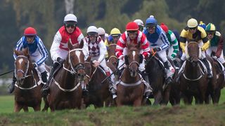 Do 131. Velké pardubické je přihlášeno devatenáct koní