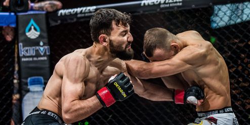 Javid Basharat: Uprchlík na cestě do UFC