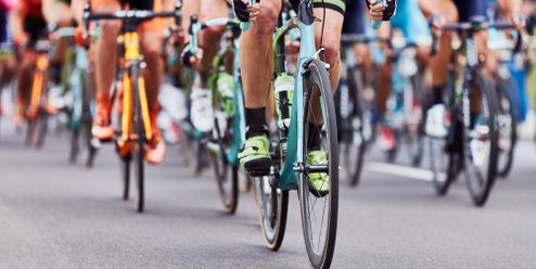 Srazit psa? Neexistuje. Cyklista popřel fyzikální zákony