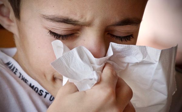 Odbornice radí, jak přestane být jarní alergie vaším nepřítelem