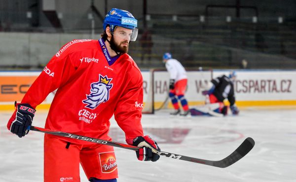 Horák: Je velkou výzvou předvádět ve Spartě výkony jako táta