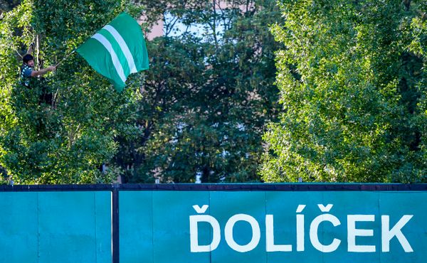 VIDEO: Fanoušek Bohemky chtěl vidět fotbal, tak se zavěsil na strom