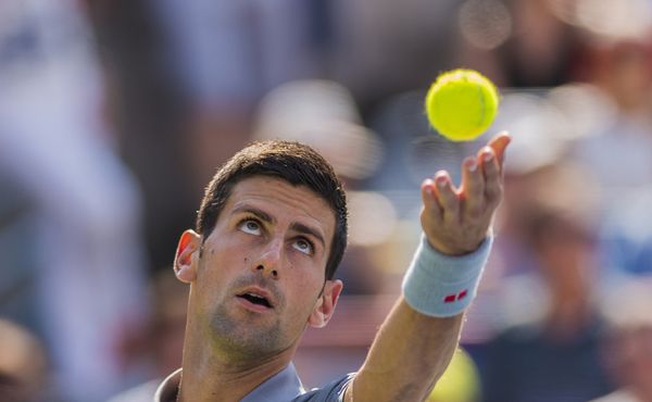 Djoković míří za titulem ve Wimbledonu. V cestě stojí už jen Berrettini