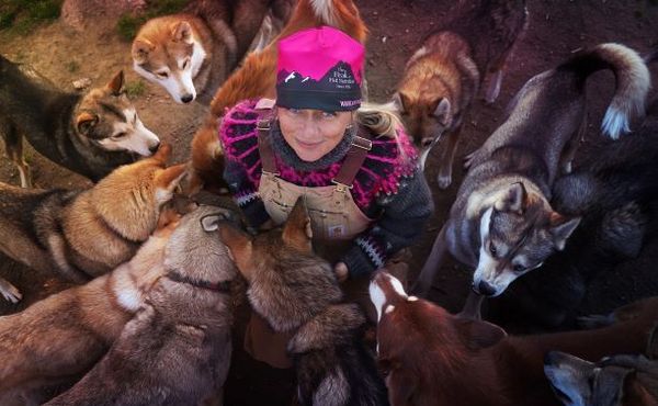 Jana Henychová: Nejsem musher, ale jezdec se psy